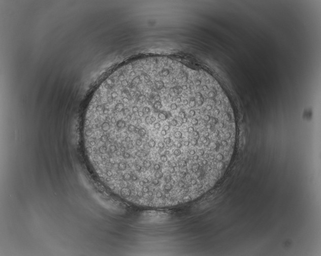X0000115610354200912221212