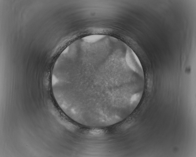 X0000115610357200912221212