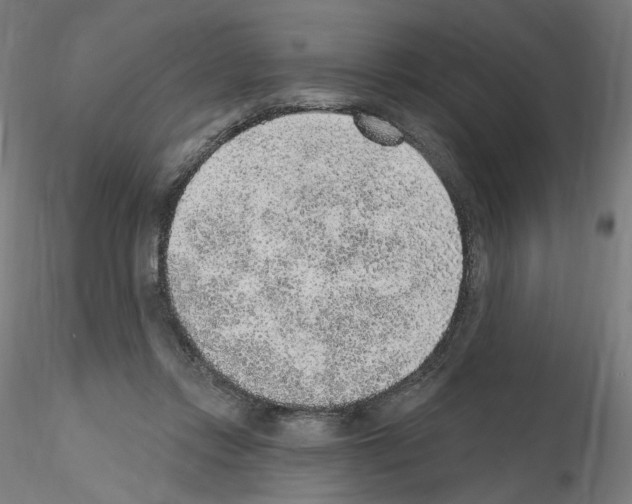 X0000115610358200912221212