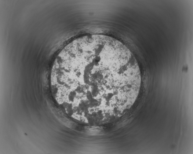 X0000115610359200912221212