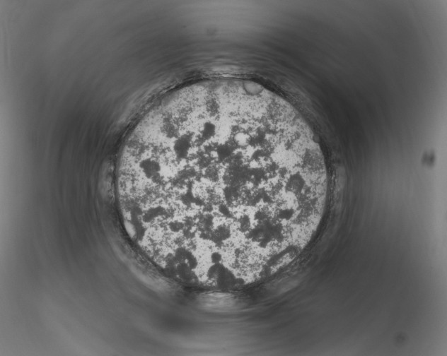 X0000115610361200912221212