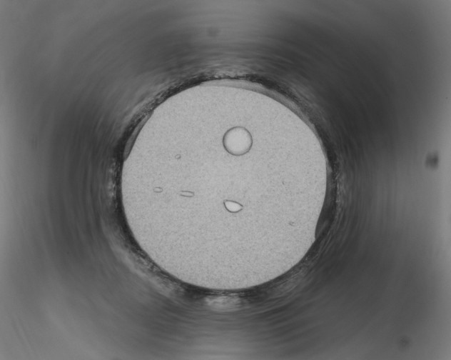 X0000115610362200912221212