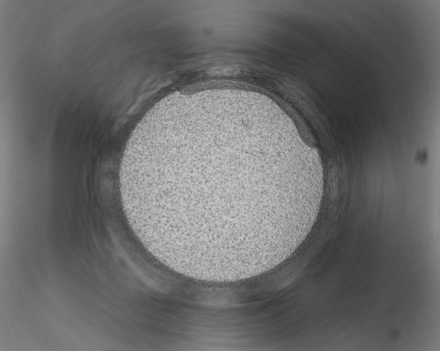 X0000115610363200912221212