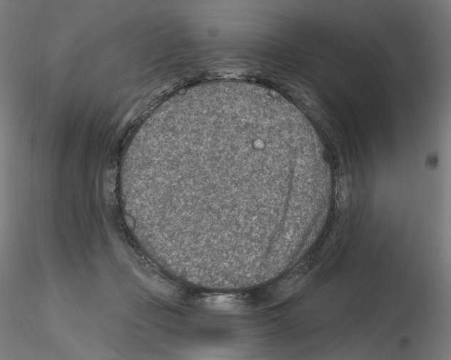 X0000115610365200912221212