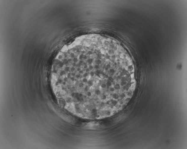 X0000115610366200912221212