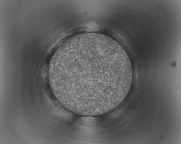X0000115610367200912221212