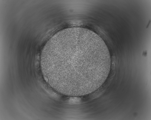 X0000115610369200912221212