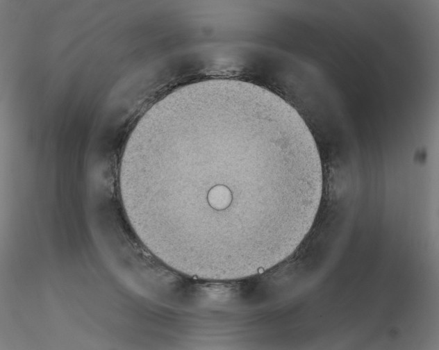 X0000115610370200912221212