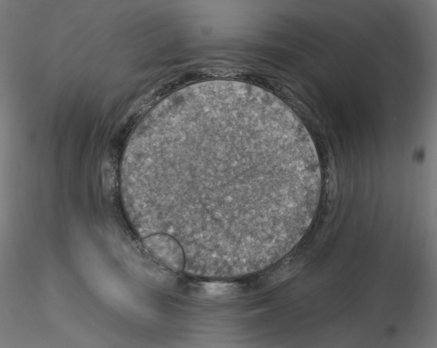 X0000115610371200912221212