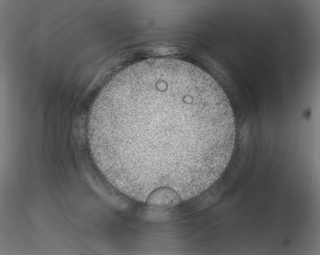 X0000115610373200912221212