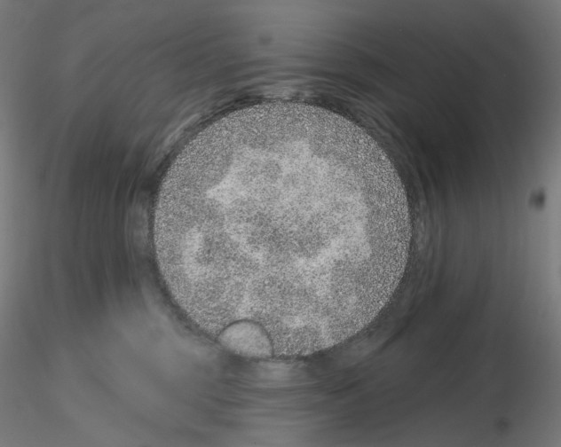 X0000115610375200912221212