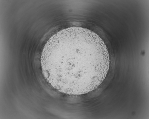 X0000115610377200912221212