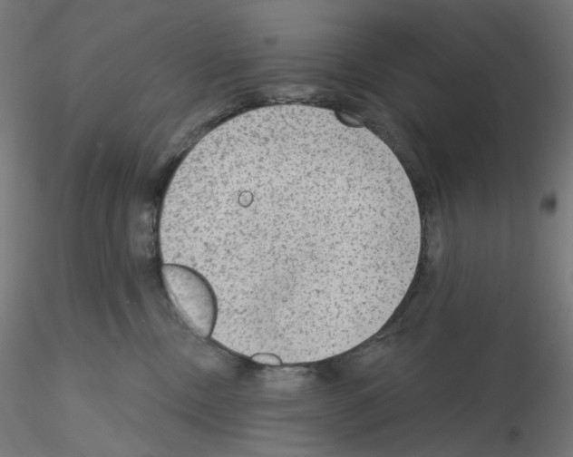 X0000115610378200912221212