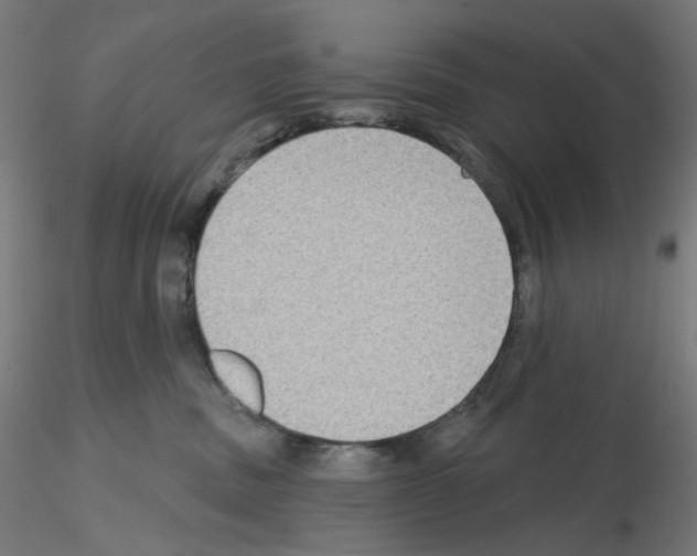 X0000115610379200912221212
