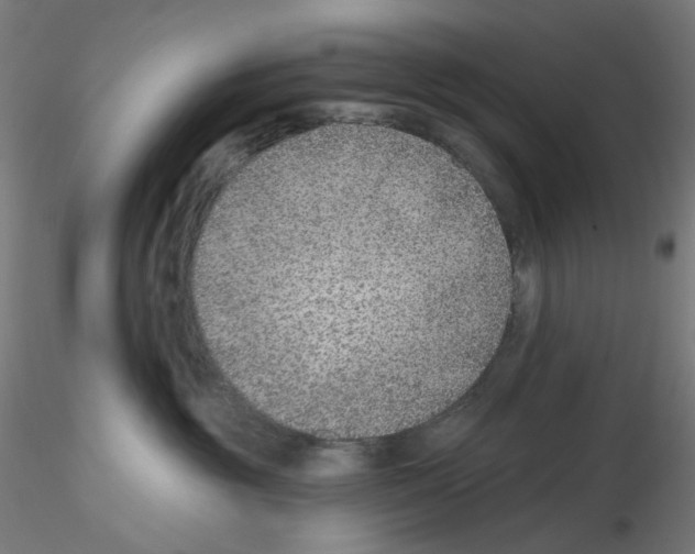 X0000115610381200912221212