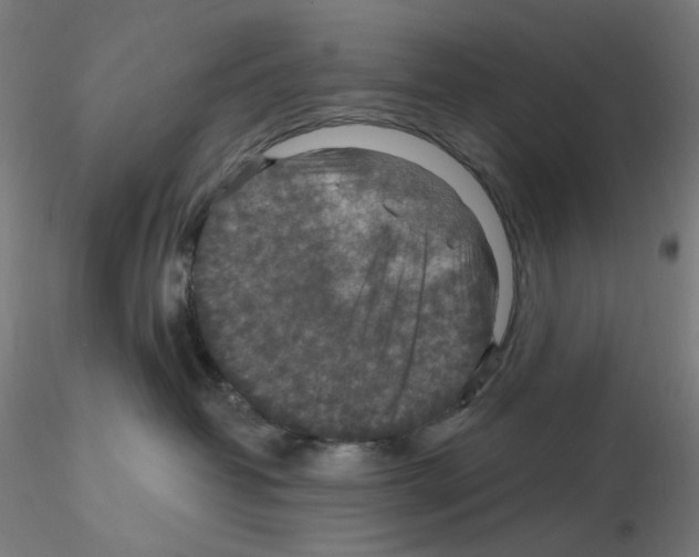 X0000115610382200912221212
