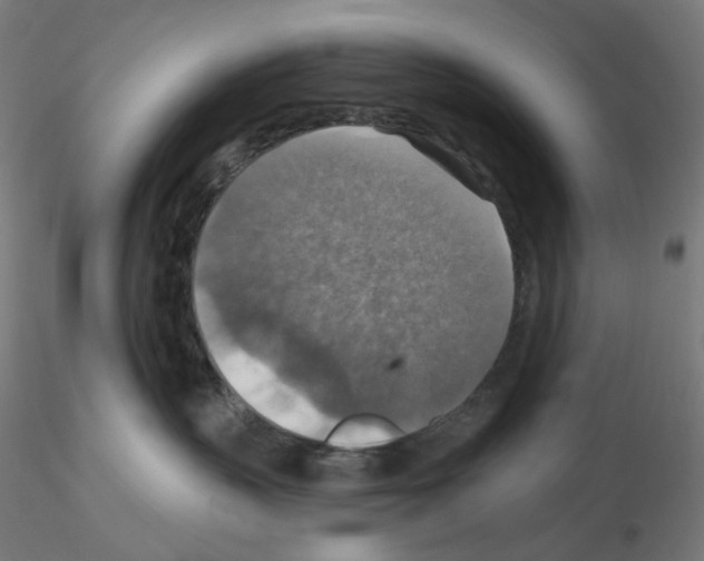 X0000115610383200912221212