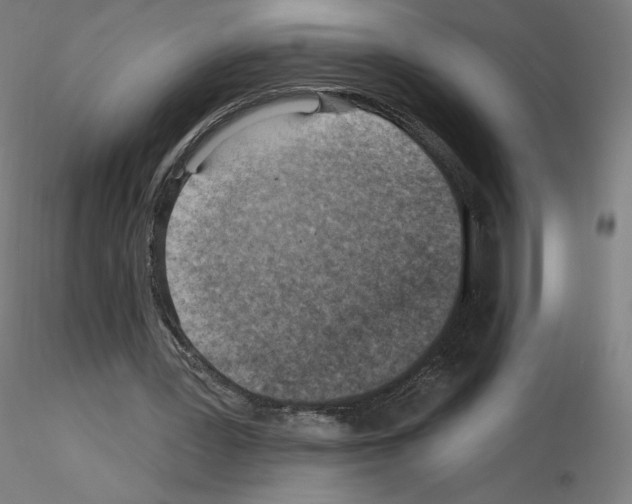 X0000115610387200912221211