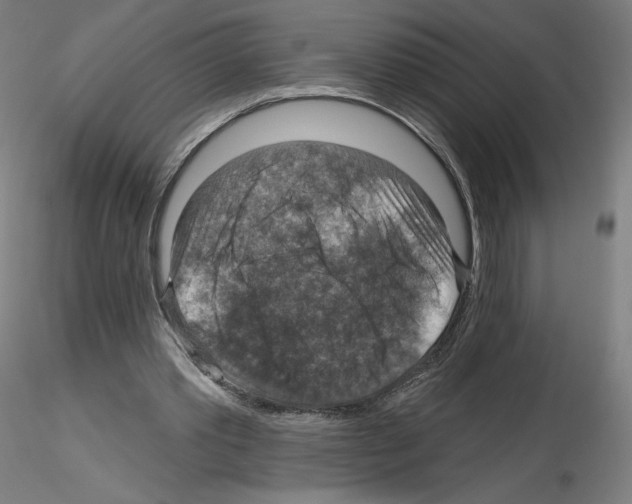X0000115610389200912221211