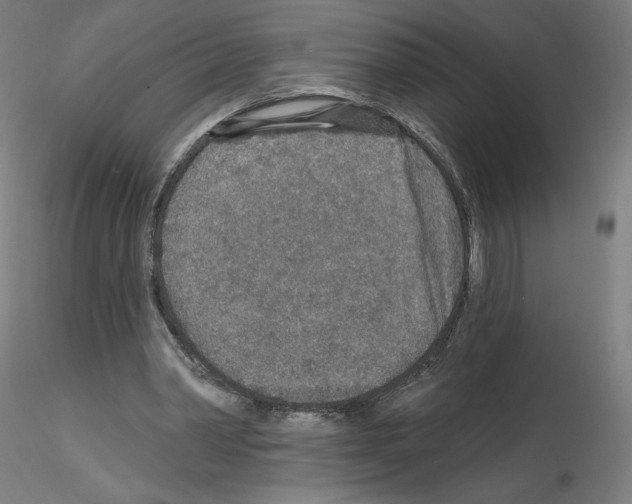 X0000115610390200912221211