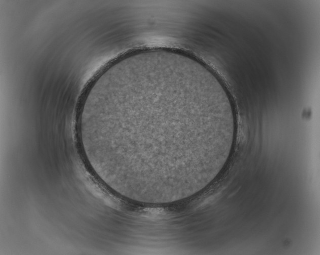 X0000115610391200912221211