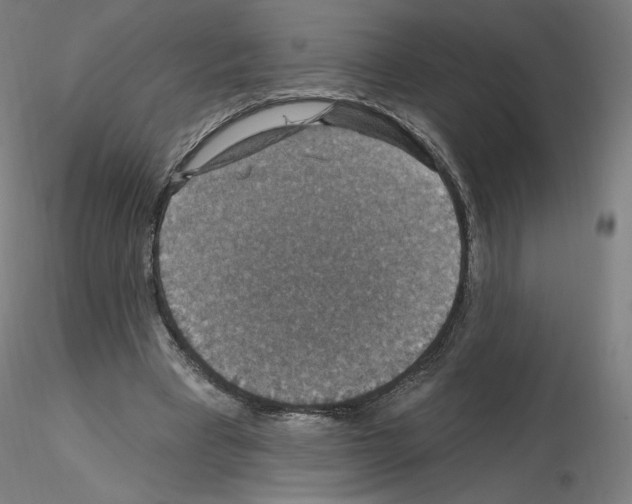 X0000115610393200912221211
