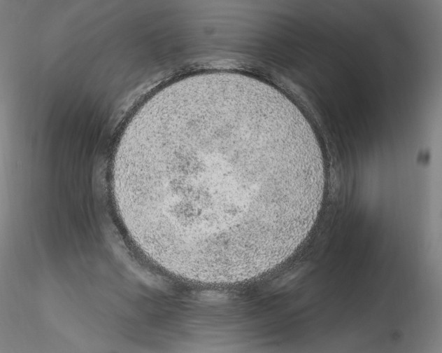 X0000115610394200912221211