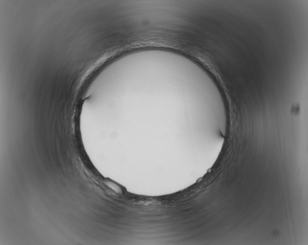 X0000115610395200912221211