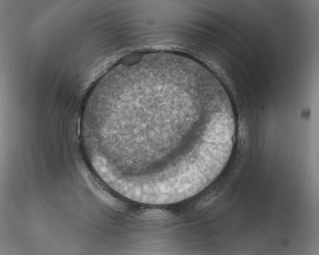 X0000115610397200912221211