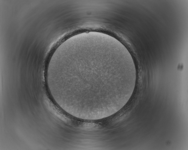 X0000115610399200912221211