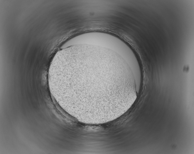 X0000115610401200912221211