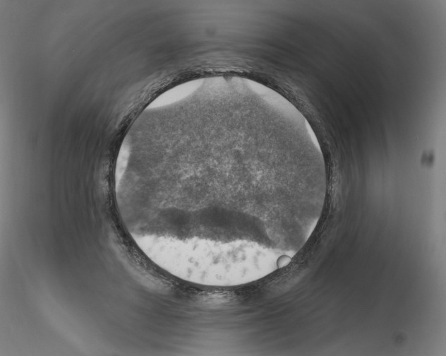X0000115610402200912221211