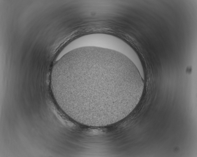 X0000115610405200912221211