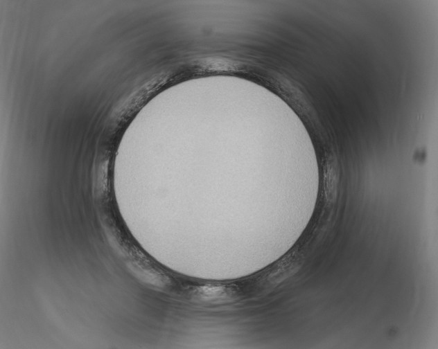 X0000115610406200912221211
