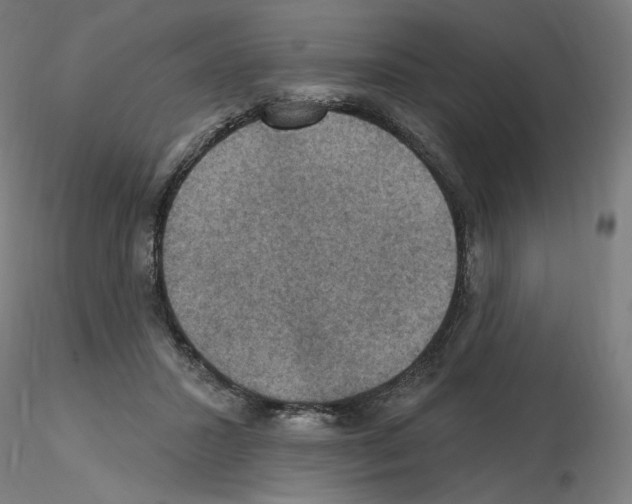 X0000115610407200912221211