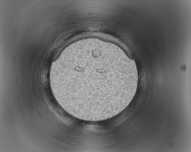 X0000115610408200912221211