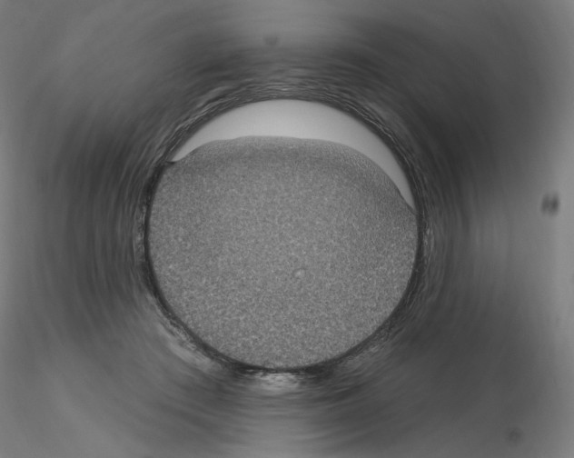 X0000115610409200912221211