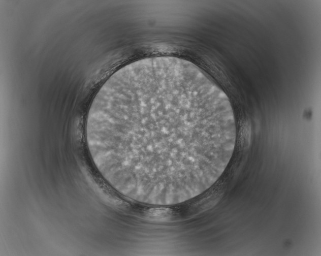 X0000115610410200912221211