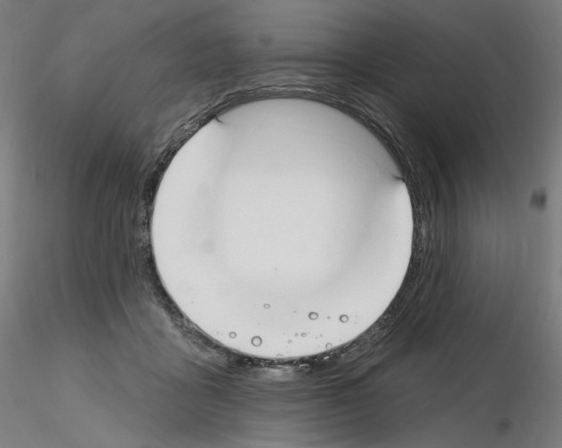 X0000115610411200912221211