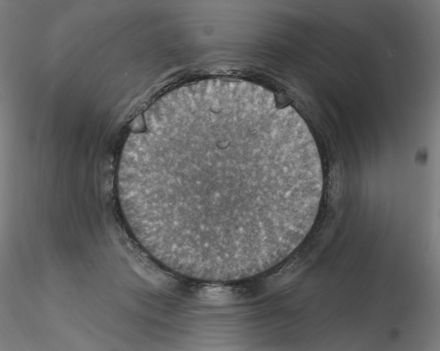 X0000115610413200912221211