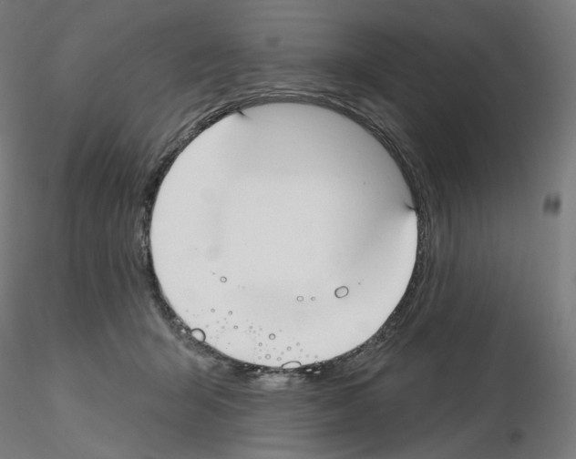 X0000115610415200912221211