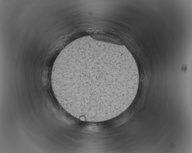 X0000115610416200912221211