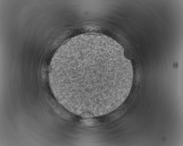 X0000115610417200912221211