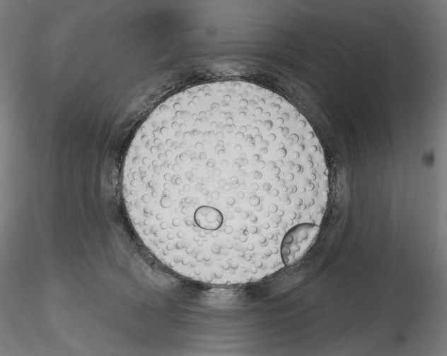 X0000115610418200912221211