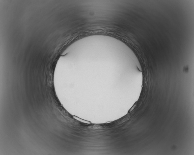 X0000115610419200912221211
