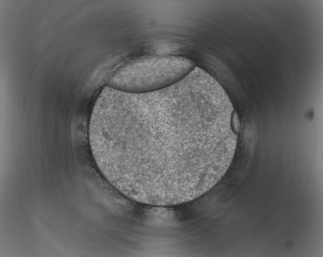 X0000115610421200912221211