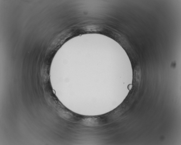 X0000115610422200912221211