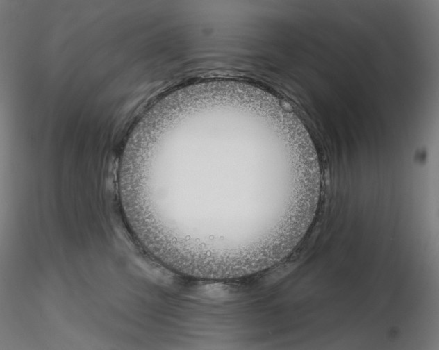 X0000115610423200912221211