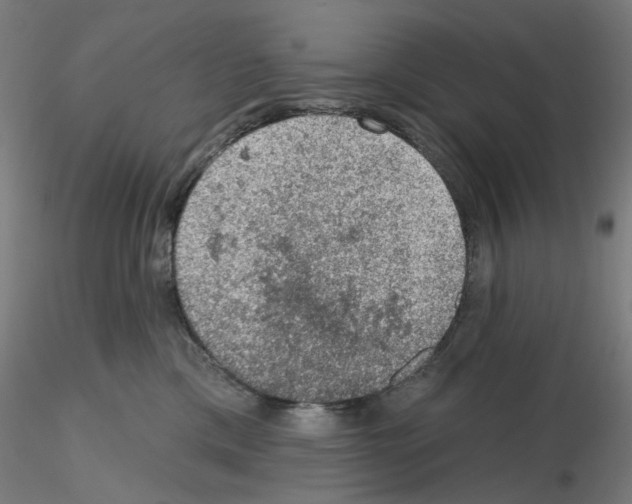 X0000115610425200912221211