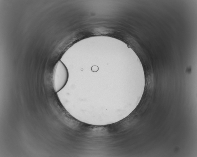 X0000115610426200912221211